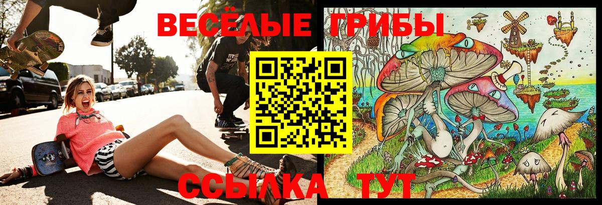 Псилоцибиновые грибы MAGIC MUSHROOMS Подольск